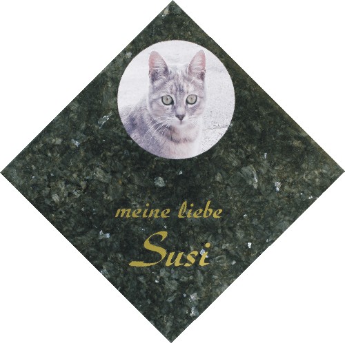 tiergrabsteincat