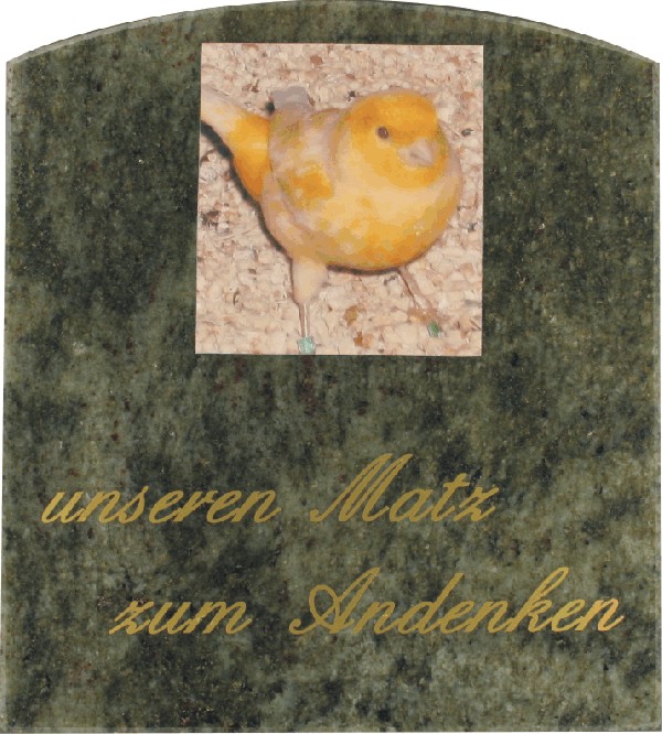 tiergrabsteinepiep